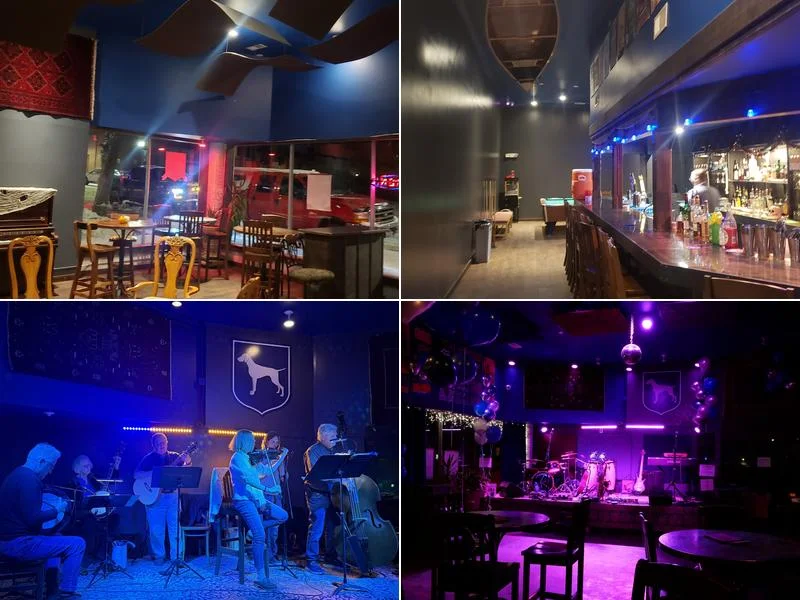 The Grey Dog Bar business photo